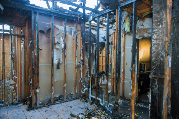 Professional Fire Damage Repair technician working in Bothell, WA